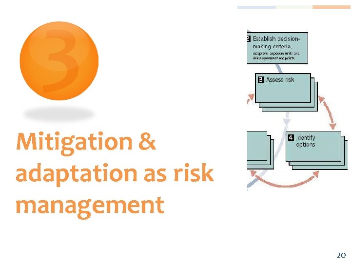 3 Mitigation & adaptation as risk management 20 