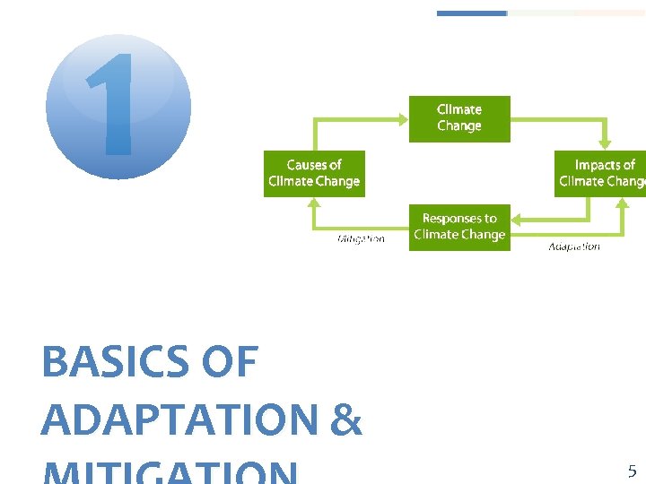 1 BASICS OF ADAPTATION & 5 