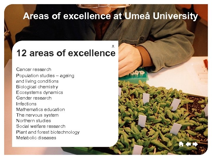 Umeå Areas of excellence at Umeå University Umeå Culture Sport Commerce Growth x 12