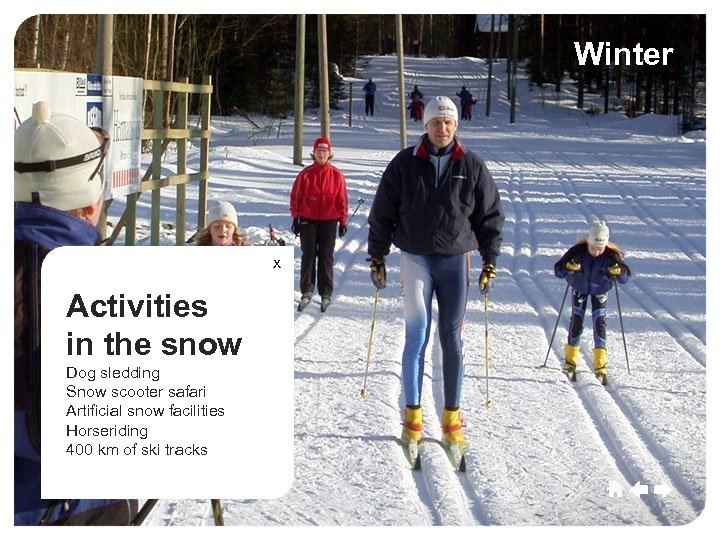 Umeå Culture Sport Winter Commerce Growth x Activities in the snow Dog sledding Snow