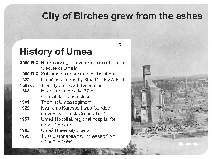 Umeå Birches grew from the ashes City of Umeå Culture Sport Commerce Growth History