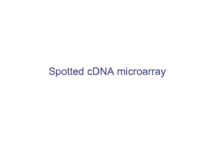 Spotted c. DNA microarray 