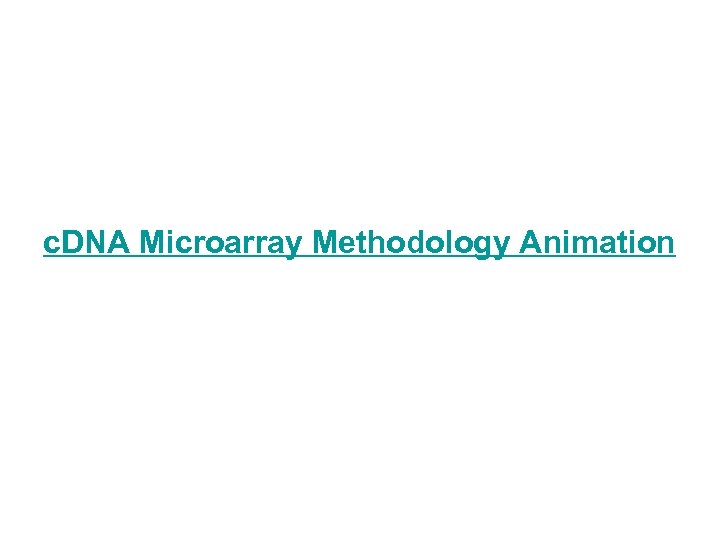 c. DNA Microarray Methodology Animation 