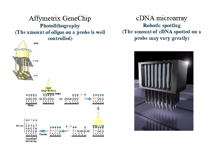 Affymetrix Gene. Chip c. DNA microarray Photolithography (The amount of oligos on a probe