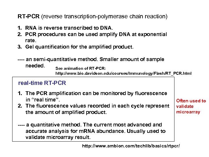 RT-PCR (reverse transcription-polymerase chain reaction) 1. RNA is reverse transcribed to DNA. 2. PCR