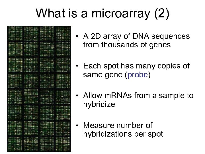 What is a microarray (2) • A 2 D array of DNA sequences from