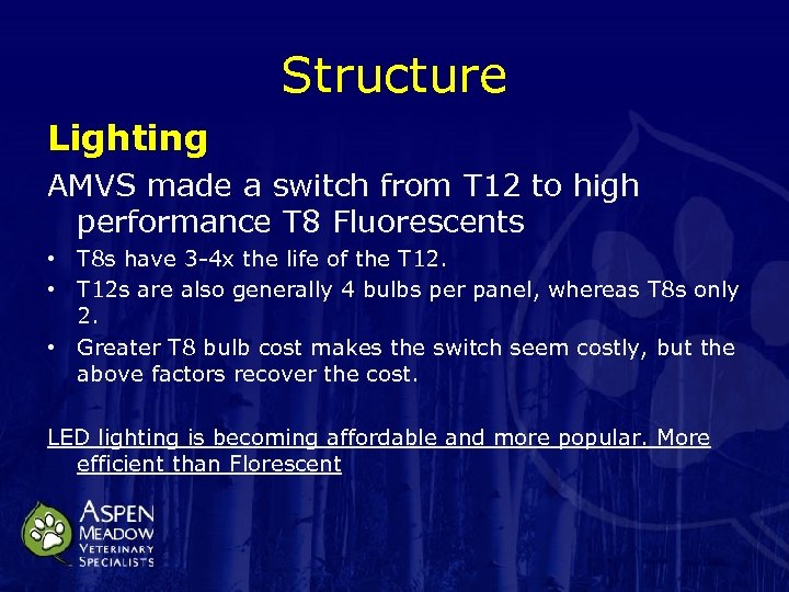 Structure Lighting AMVS made a switch from T 12 to high performance T 8