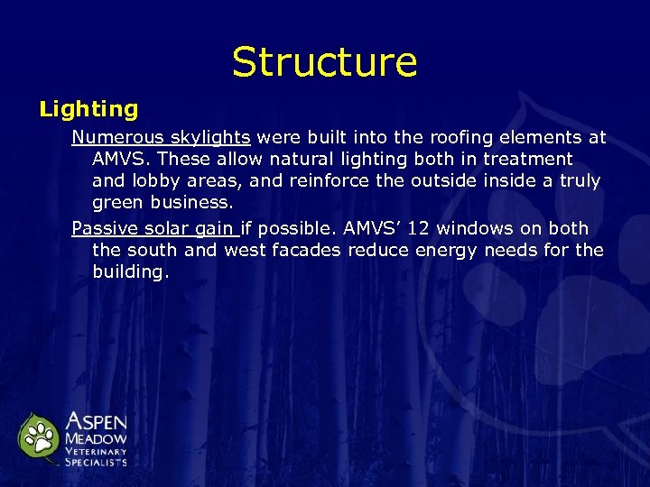 Structure Lighting Numerous skylights were built into the roofing elements at AMVS. These allow