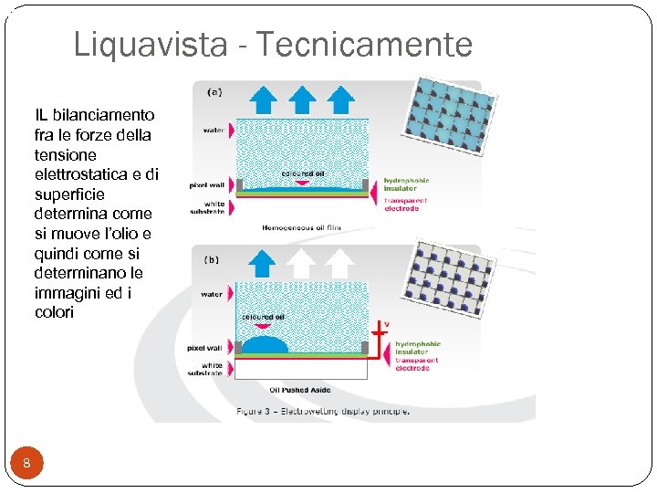 Permette la ricerca testuale Liquavista - Tecnicamente IL bilanciamento fra le forze della tensione