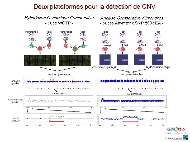 Deux plateformes pour la détection de CNV Hybridation Génomique Comparative - puce WGTP -