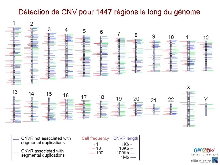 Détection de CNV pour 1447 régions le long du génome 