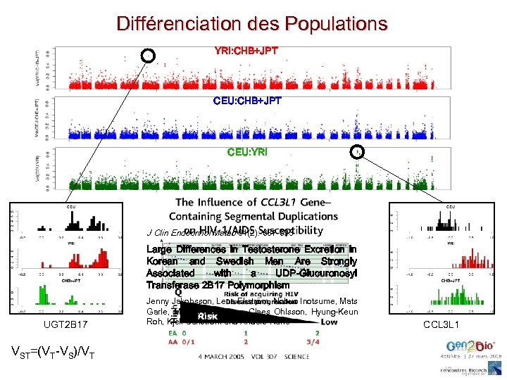 Différenciation des Populations YRI: CHB+JPT CEU: CHB+JTP CEU: YRI J Clin Endocrinol Metab 91(2):