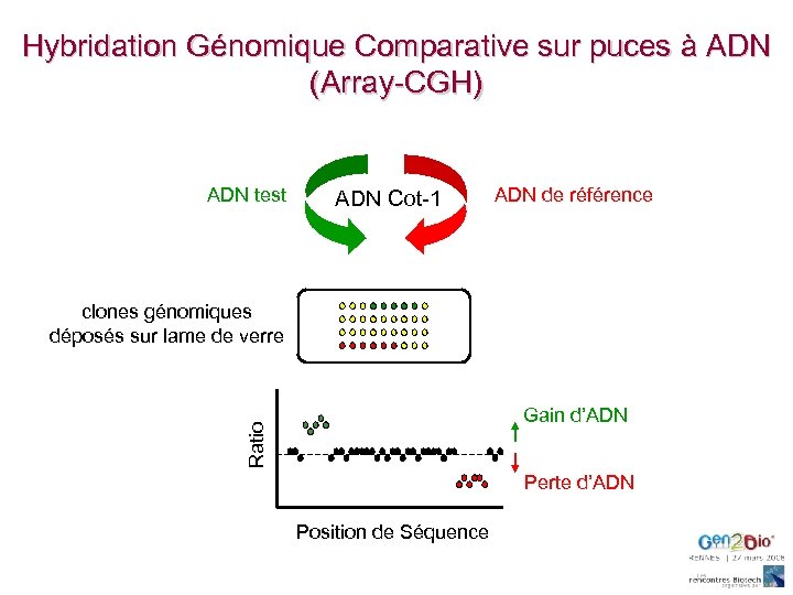 Hybridation Génomique Comparative sur puces à ADN (Array-CGH) ADN test ADN Cot-1 ADN de