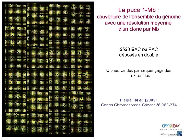 La puce 1 -Mb : couverture de l’ensemble du génome avec une résolution moyenne