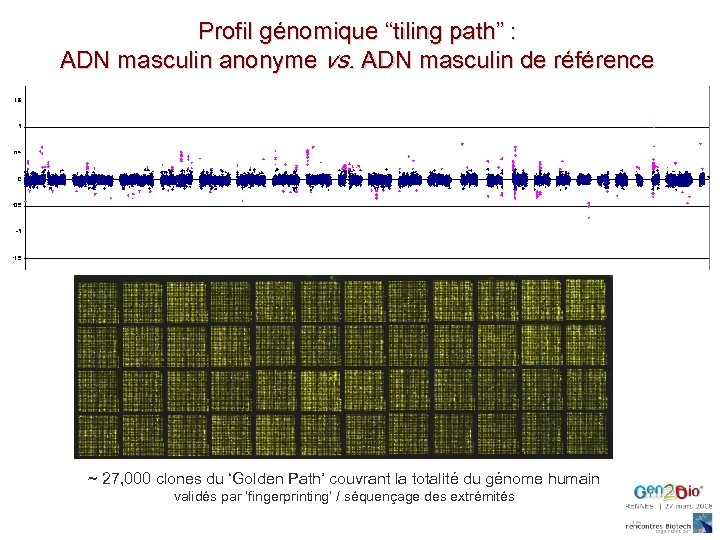 Profil génomique “tiling path” : ADN masculin anonyme vs. ADN masculin de référence ~