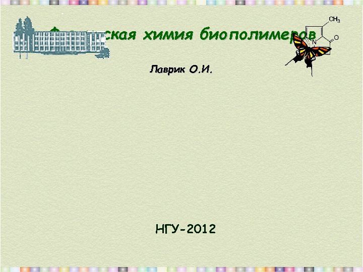 Физическая химия биополимеров Лаврик О. И. НГУ-2012 