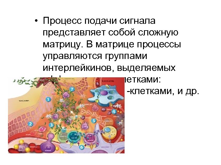  • Процесс подачи сигнала представляет собой сложную матрицу. В матрице процессы управляются группами