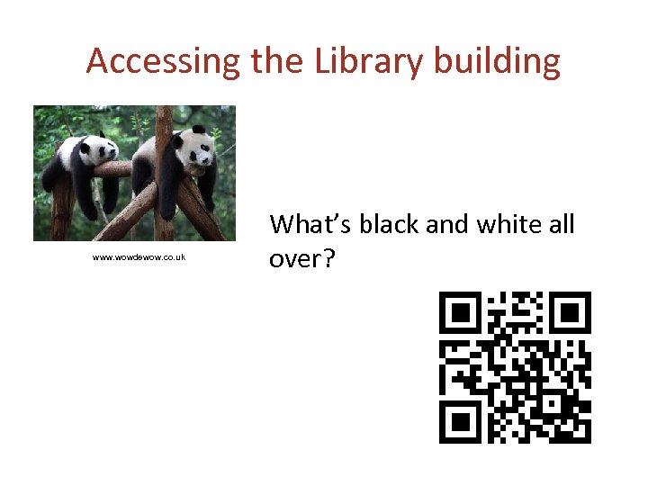 Accessing the Library building www. wowdewow. co. uk What’s black and white all over?