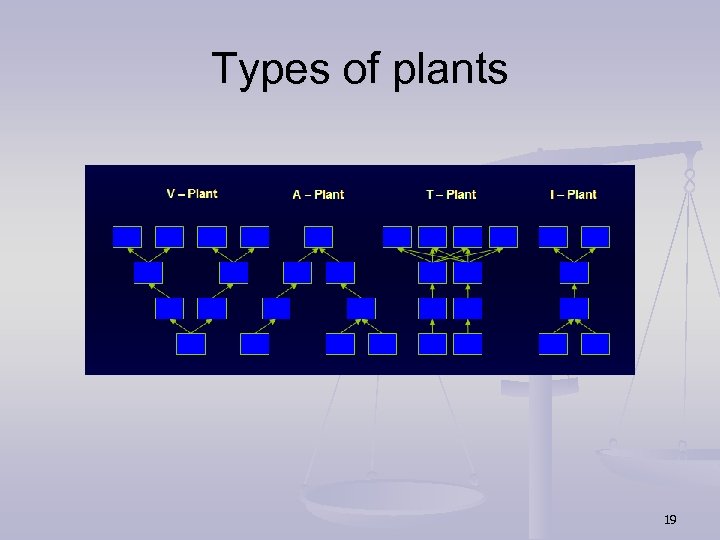 Types of plants 19 
