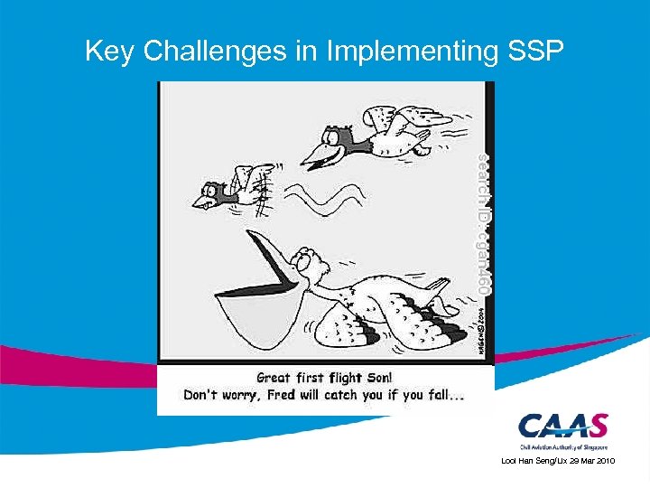 Key Challenges in Implementing SSP Looi Han Seng/Lix 29 Mar 2010 