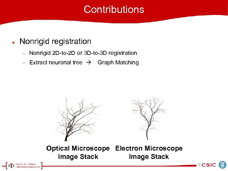 Contributions Nonrigid registration Nonrigid 2 D-to-2 D or 3 D-to-3 D registration Extract neuronal