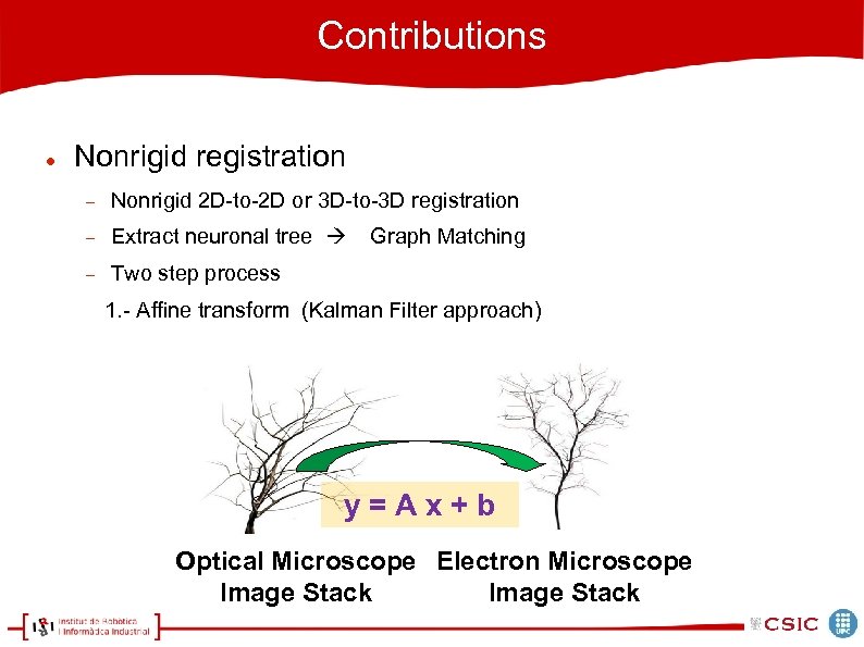 Contributions Nonrigid registration Nonrigid 2 D-to-2 D or 3 D-to-3 D registration Extract neuronal