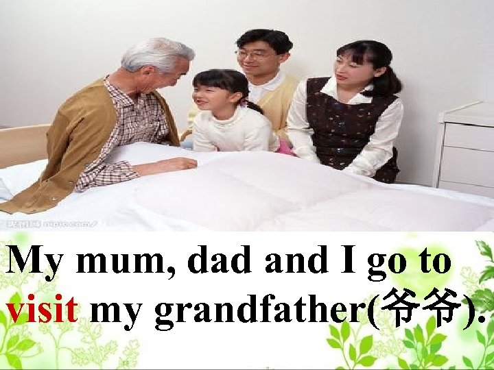 My mum, dad and I go to visit my grandfather(爷爷). 