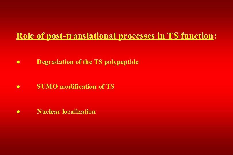 Role of post-translational processes in TS function: ● Degradation of the TS polypeptide ●