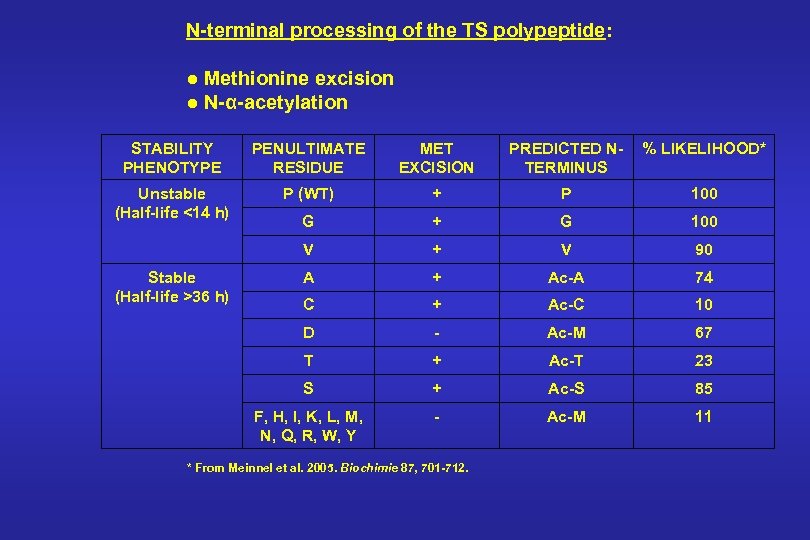 N-terminal processing of the TS polypeptide: ● Methionine excision ● N-α-acetylation STABILITY PHENOTYPE PENULTIMATE