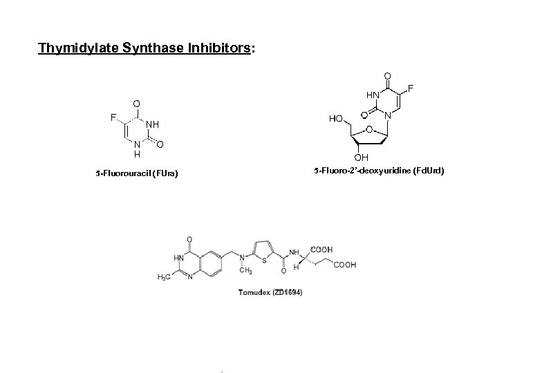 Thymidylate Synthase Inhibitors: 5 -Fluorouracil (FUra) 5 -Fluoro-2’-deoxyuridine (Fd. Urd) 