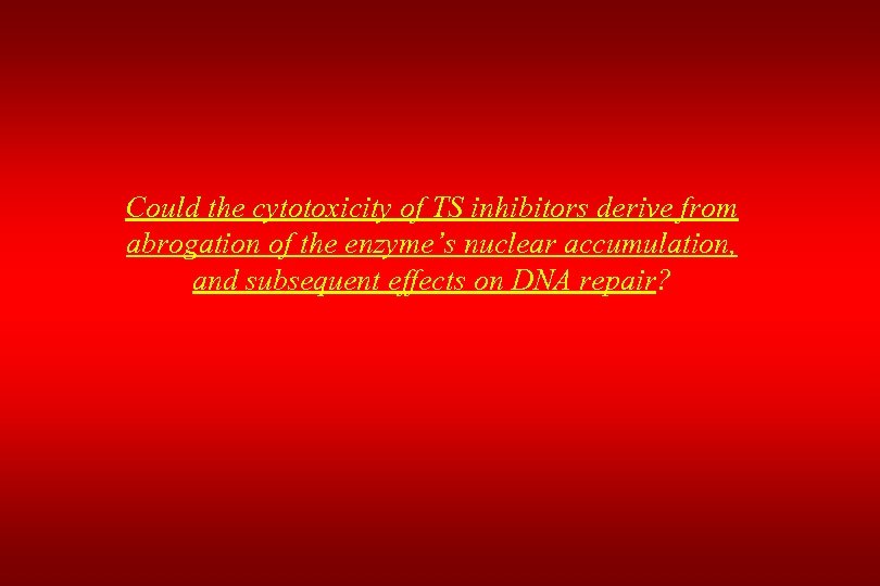 Could the cytotoxicity of TS inhibitors derive from abrogation of the enzyme’s nuclear accumulation,