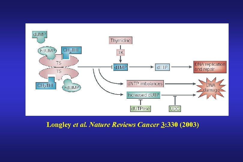 Longley et al. Nature Reviews Cancer 3: 330 (2003) 