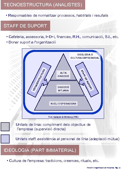 TECNOESTRUCTURA (ANALISTES) • Responsables de normalitzar processos, habilitats i resultats STAFF DE SUPORT •