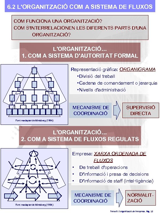 6. 2 L'ORGANITZACIÓ COM A SISTEMA DE FLUXOS COM FUNCIONA UNA ORGANITZACIÓ? COM S'INTERRELACIONEN