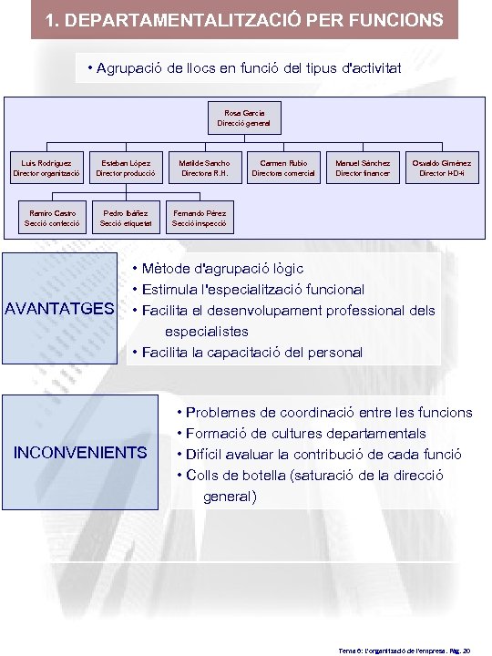 1. DEPARTAMENTALITZACIÓ PER FUNCIONS • Agrupació de llocs en funció del tipus d'activitat Rosa