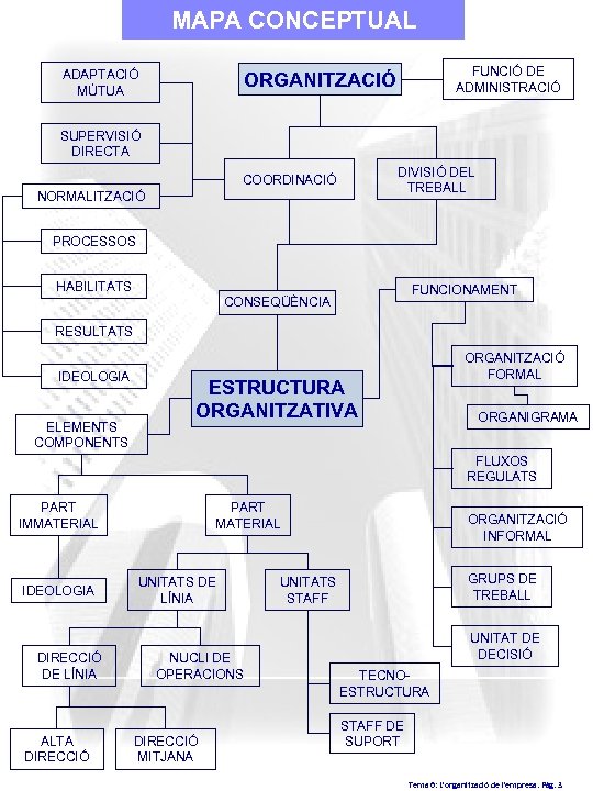 MAPA CONCEPTUAL ADAPTACIÓ MÚTUA FUNCIÓ DE ADMINISTRACIÓ ORGANITZACIÓ SUPERVISIÓ DIRECTA DIVISIÓ DEL TREBALL COORDINACIÓ