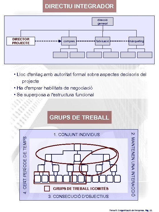 DIRECTIU INTEGRADOR direcció general DIRECTOR PROJECTE compres fabricació màrqueting • Lloc d'enllaç amb autoritat