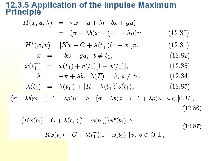 12. 3. 5 Application of the Impulse Maximum Principle 