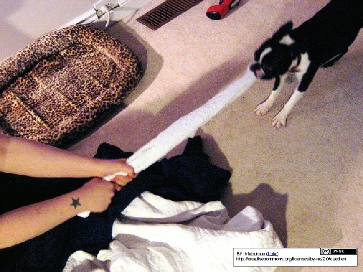 BY: hfabulous (flickr) http: //creativecommons. org/licenses/by-nc/2. 0/deed. en 