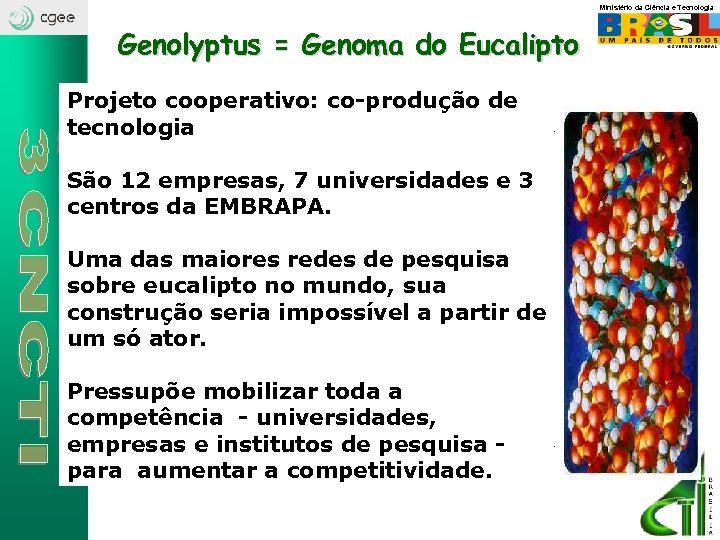 Ministério da Ciência e Tecnologia Genolyptus = Genoma do Eucalipto Projeto cooperativo: co-produção de