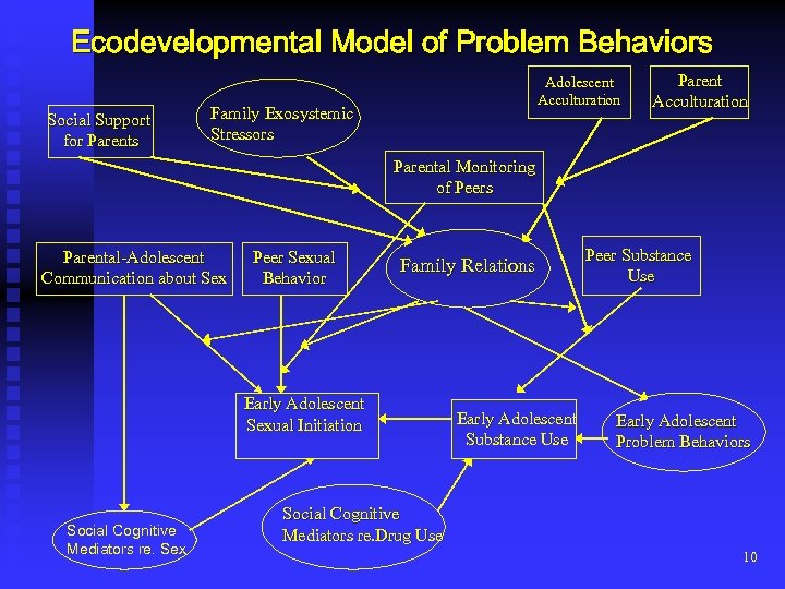 Ecodevelopmental Model of Problem Behaviors Social Support for Parents Adolescent Acculturation Family Exosystemic Stressors