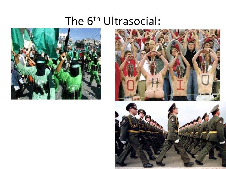The 6 th Ultrasocial: 