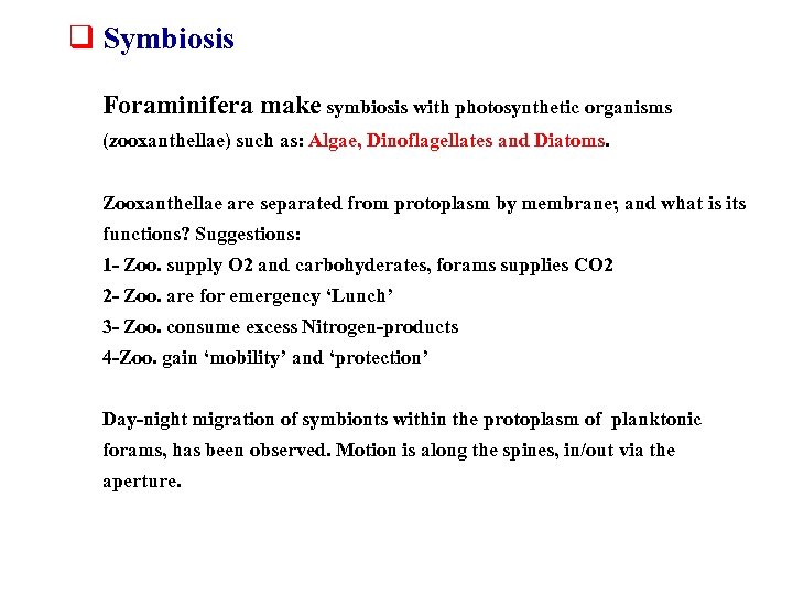 q Symbiosis Foraminifera make symbiosis with photosynthetic organisms (zooxanthellae) such as: Algae, Dinoflagellates and