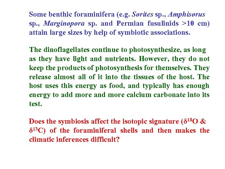 Some benthic foraminifera (e. g. Sorites sp. , Amphisorus sp. , Marginopora sp. and