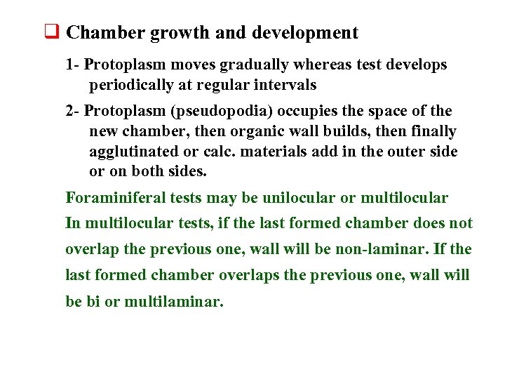 q Chamber growth and development 1 - Protoplasm moves gradually whereas test develops periodically