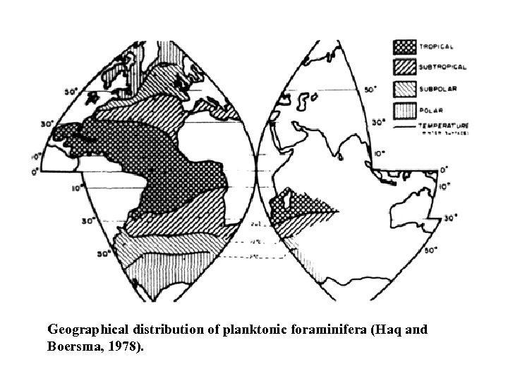 Geographical distribution of planktonic foraminifera (Haq and Boersma, 1978). 