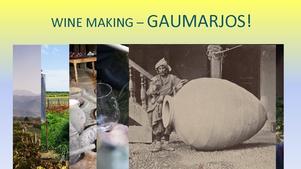 WINE MAKING – GAUMARJOS! 