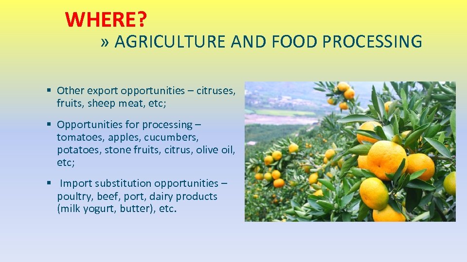 WHERE? » AGRICULTURE AND FOOD PROCESSING § Other export opportunities – citruses, fruits, sheep