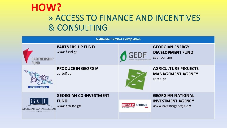 HOW? » ACCESS TO FINANCE AND INCENTIVES & CONSULTING Valuable Partner Companies PARTNERSHIP FUND