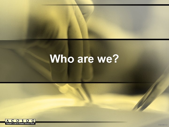 Who are we? 3048365 -2 